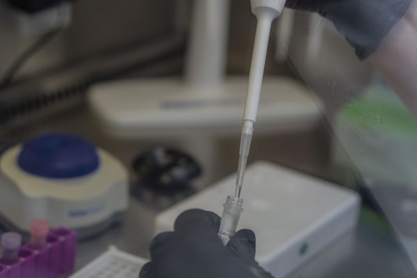 Laboratorio SIGMA